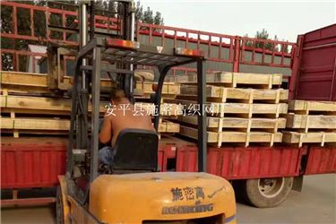 金刚网054